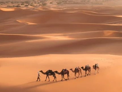 FES TO MARRAKECH 4 DAYS MOROCCO