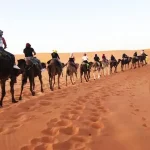 Fez to Merzouga desert 2-day tour via the High Atlas mountains